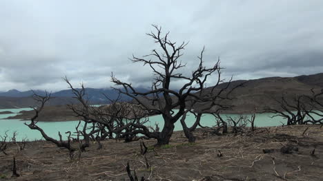 Torres-Del-Paine-Brennen-S2