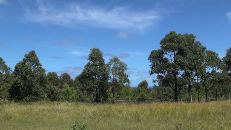 Isla-De-Pascua-Ahu-Akivi-árboles-Y-Valla-2c