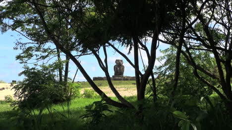 Easter-Island-Anakena-Ahu-Ature-Huke-through-tree-8