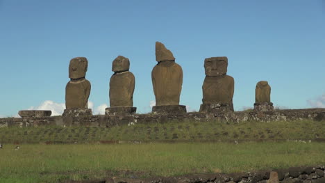 Großer-Gummi-Tahai-Moai-Am-Morgen-S15