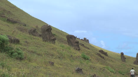 Rapa-Nui-horses-at-Quarry-p