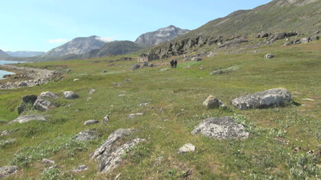 Greenland-Hvalsey-church-ruin-s3