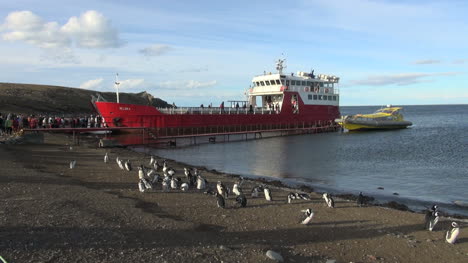 Patagonia-Magdalena-penguins-and-red-ferry