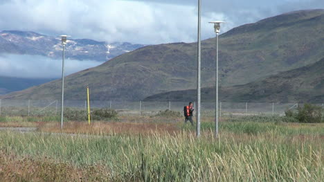 Groenlandia-Narsarsuaq-Vegetación-Excursionista