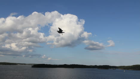 Nube-Del-Archipiélago-De-Estocolmo-Con-Pájaros