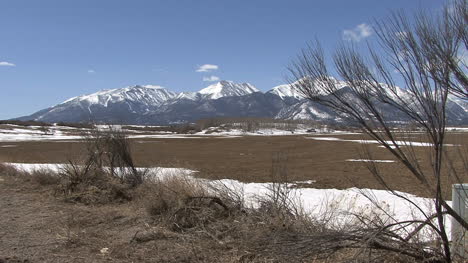 Rango-De-Sierra-De-Colorado-Con-Arbusto