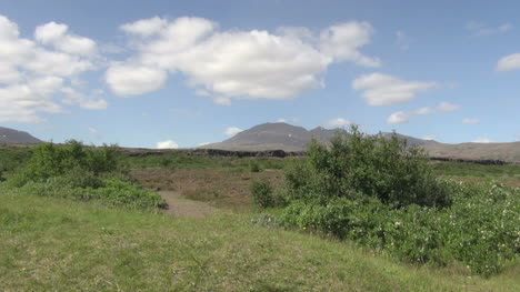 Iceland-Pingvellir-cliff-beyond-shrubs