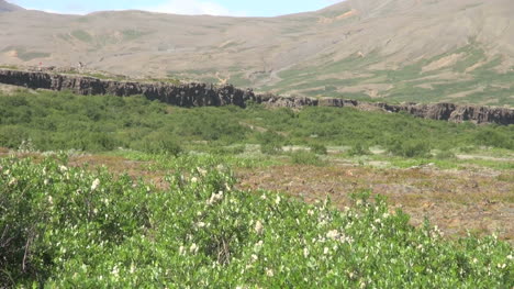 Iceland-Pingvellir-cliff-zoom-in