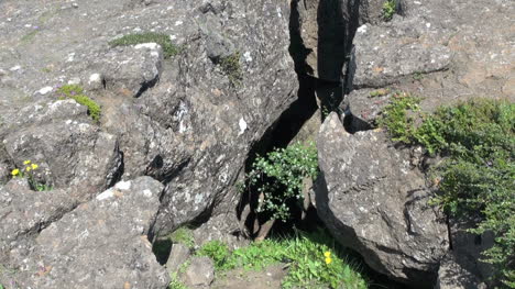 Detalle-De-La-Grieta-De-Pingvellir-De-Islandia