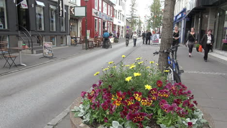 Island-Reykjavik-Straße-Mit-Blumen