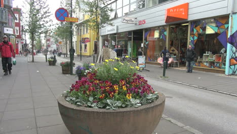 Island-Reykjavik-Blumen-Nach-Straße