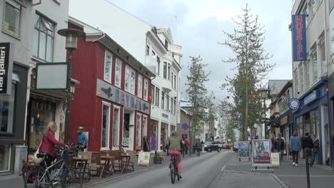 Island-Reykjavik-Straße-Mit-Baum
