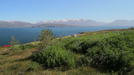 Island-Eyjafjordur-Bei-Ytra-Aland-C