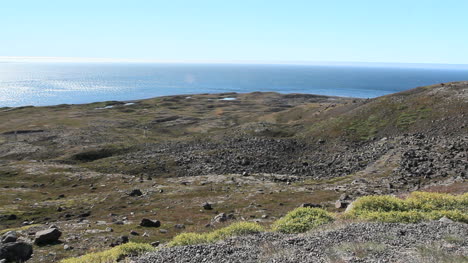 Iceland-northern-headland-tundra-&-sea