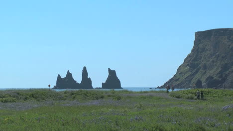 Island-Vik-Offshore-Felsen