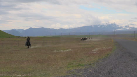 Caballos-De-Islandia-Al-Galope