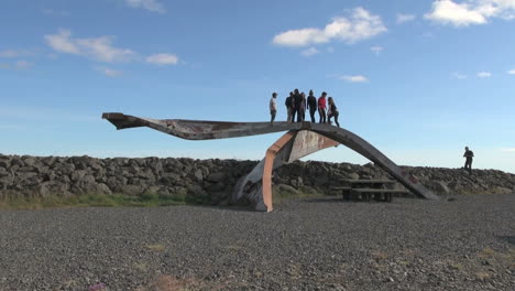 Islandia-Skeftafell-Np-Puente-Piezas