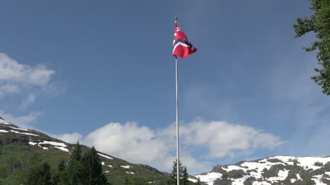 Norwegen-Flagge