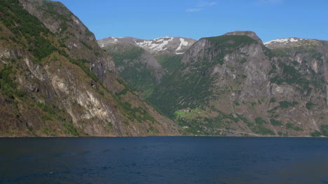 Norwegen-Ein-Vogel-über-Dem-Sognefjord-2s