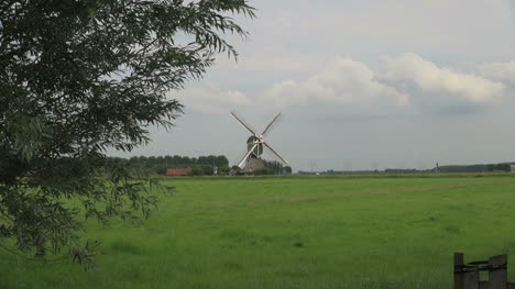 Niederlande-üppige-Wiese-Und-X-förmige-Windmühlenflügel-3