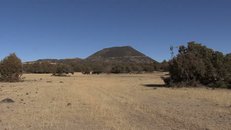 New-Mexico-Capulin-Mt.-and-cows
