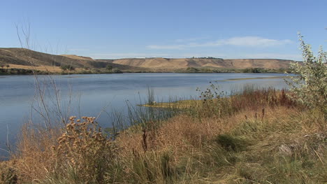 Idaho-Snake-River-with-weeds