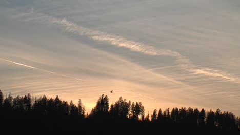 Wyoming-sunset-with-jet-contrail-over-trees-timelapse