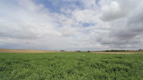 Crops-strech-out-across-the-plains-under-a-cloudy-sky