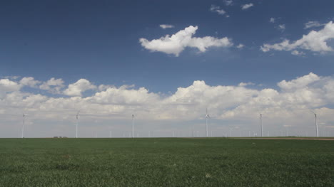 A-line-of-windmills-rises-beyond-a-wheat-field