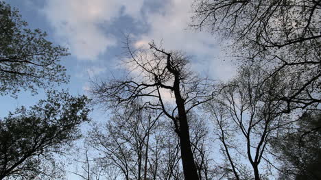 Nubes-De-Primavera-De-Missouri