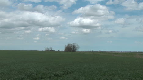 Zeitrafferwolken-Huschen-über-Einem-Weizenfeld-Auf-Den-Großen-Ebenen-Great