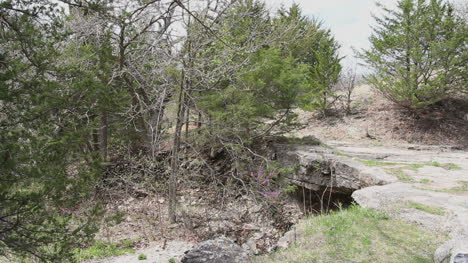 Kansas-Alcove-Spring-c1