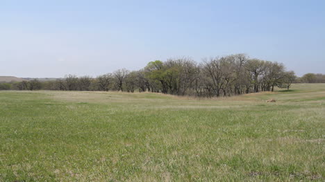 Kansas-rural-landscape-c1