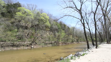 Iowa-Trees-on-bank-of-stream-in-spring-c