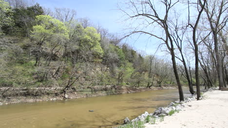 Iowa-árboles-En-La-Orilla-Del-Arroyo-En-Primavera-C