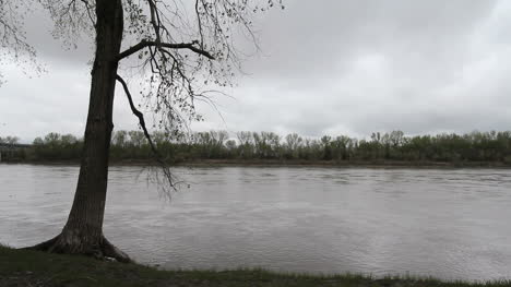 Missouri-Tree-on-bank-of-Missouri-River-c