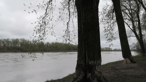 Missouri-Bäume-Am-Missouri-Fluss-C