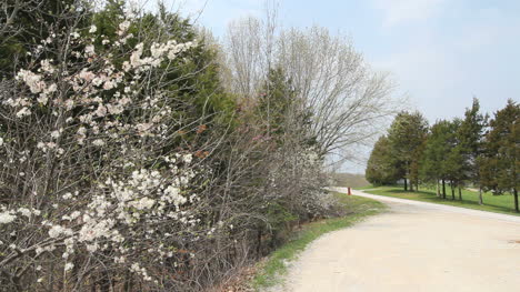 Missouri-Spring-Lane-C