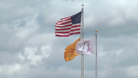 New-Mexico-flags-p