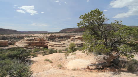 Utah-Naturbrücken-Nationaldenkmal