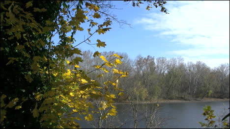 Pennsylvania-Fall-leaves-and-the-Delaware-River-4k