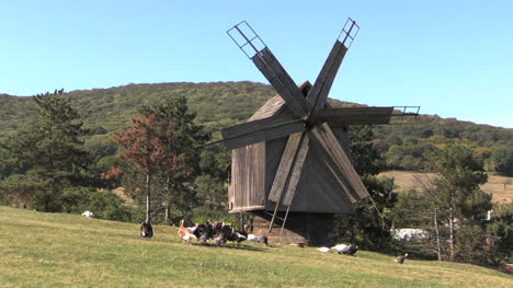 Rumänien-Windmühle-Und-Truthähne-Cx
