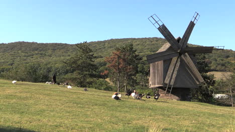 Rumänien-Windmühle-Und-Frau-Mit-Truthähnen-Cx