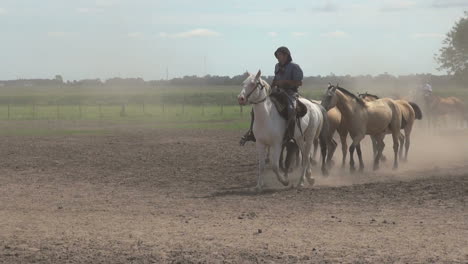 Argentine-Estancia-Horses-Editorial