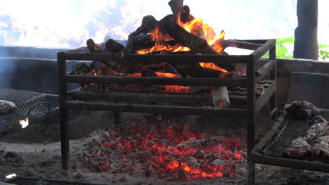 Fuego-En-Una-Parrilla