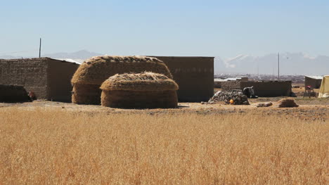 Bolivia-Altiplano-hay-stack-c