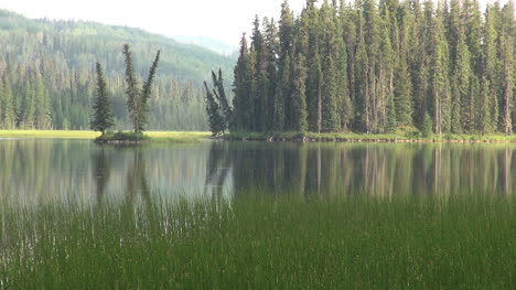 Canada-Alberta-marshy-lake-with-reflections-s