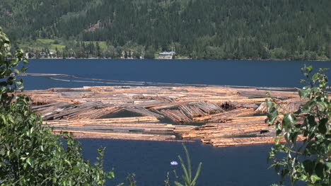 British-Columbia-Adams-Lake-logs