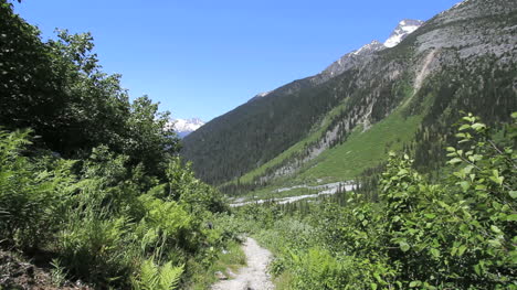 Glaciar-De-Columbia-Británica-Np-Columbia-Montañas-Ver-Valle-Abajo-C