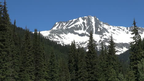 Glaciar-De-Columbia-Británica-Np-Rogers-Pass-Montañas-De-Columbia